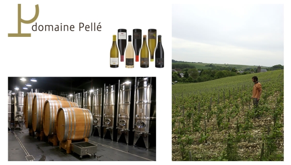 Domaine Henri Pellé, situé sur la commune de Menetou-Salon, les vignes en agriculture biologique sont plantées exclusivement de sauvignon et de pinot noir, propose des appellations de Menetou-Salon et Sancerre 